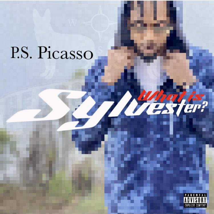 PS PICASSO's avatar image