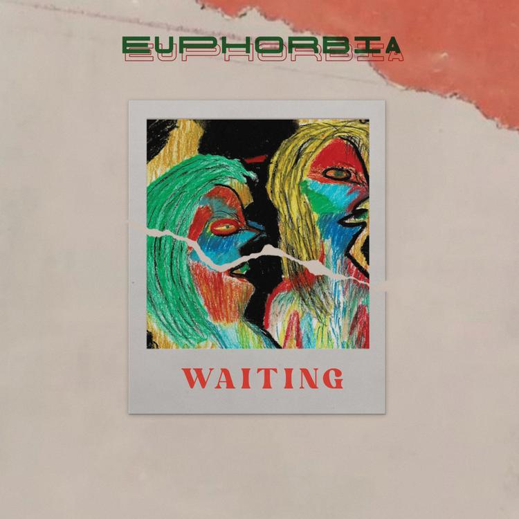 Euphorbia's avatar image