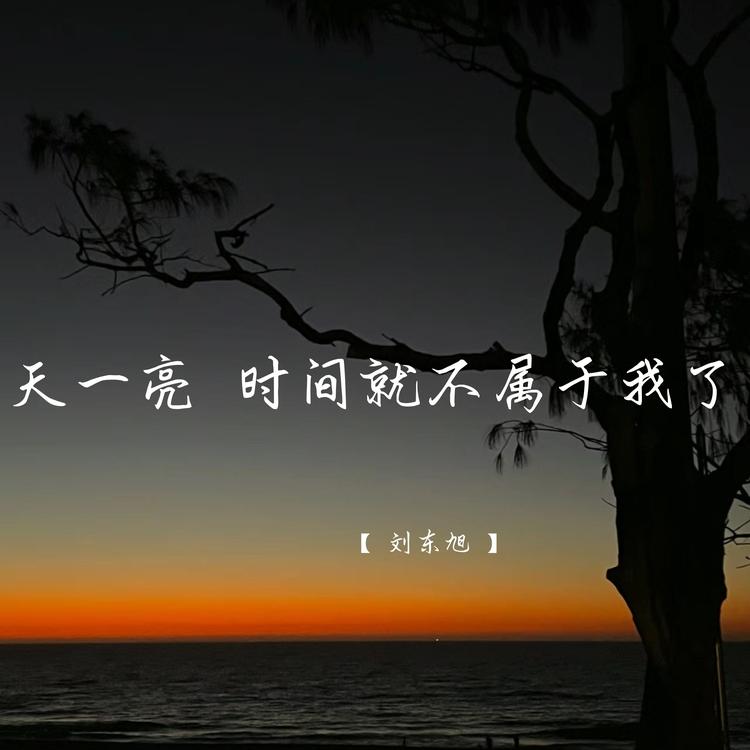 刘东旭's avatar image