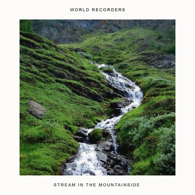 World Recorders's cover