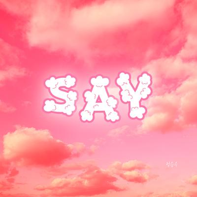 Say Instrumental's cover