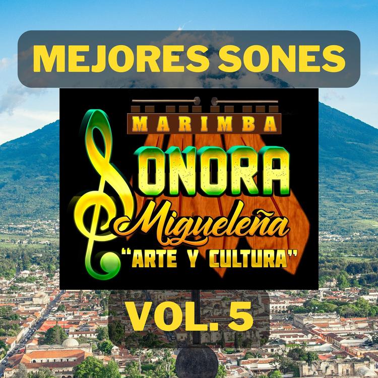Marimba Sonora Migueleña's avatar image