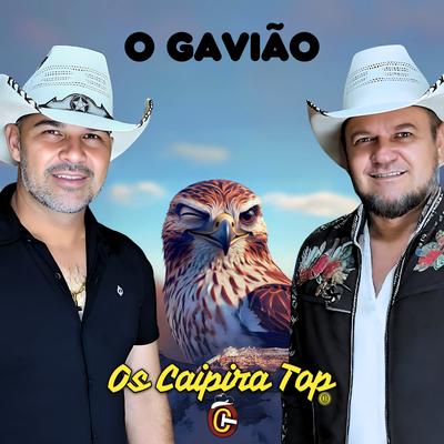 O Gavião's cover