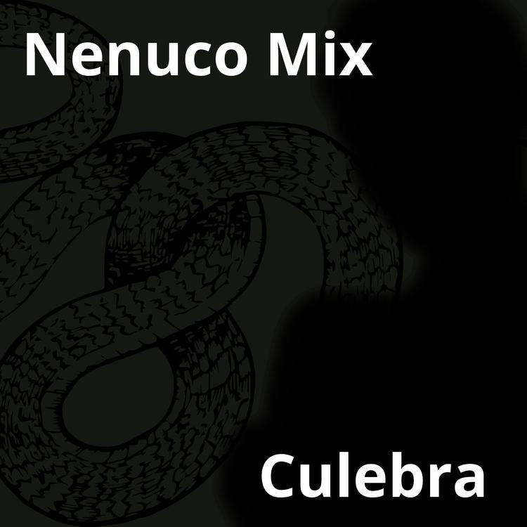 Nenuco Mix's avatar image