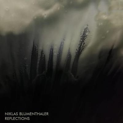 Reflections By Niklas Blumenthaler's cover