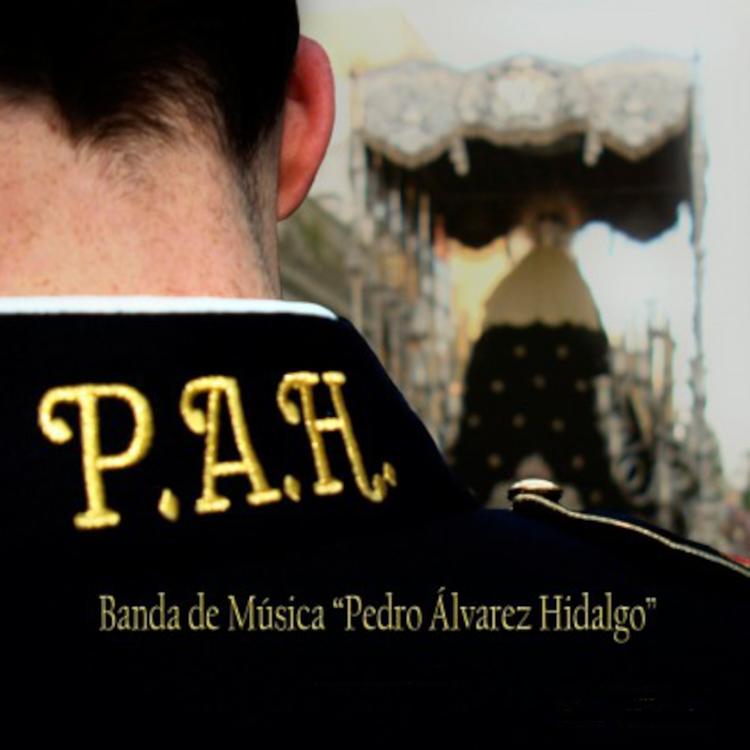 Banda de Música Pedro Álvarez Hidalgo's avatar image