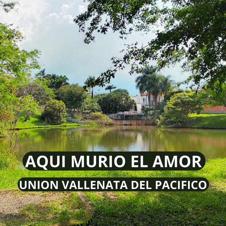 UNION VALLENATA DEL PACIFICO's avatar image