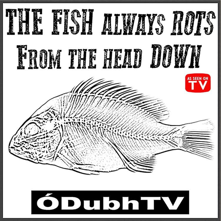 ODubhTV's avatar image