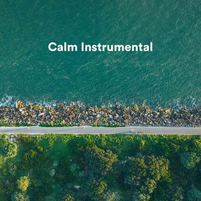 Calm Instrumental's cover