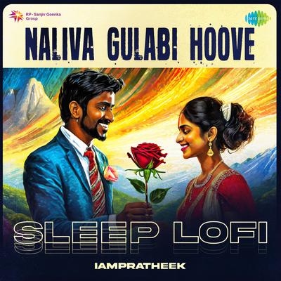 Naliva Gulabi Hoove - Sleep Lofi's cover