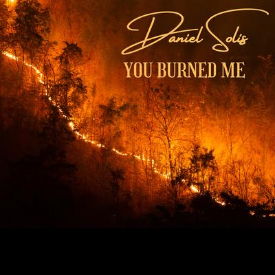 You Burned Me's cover