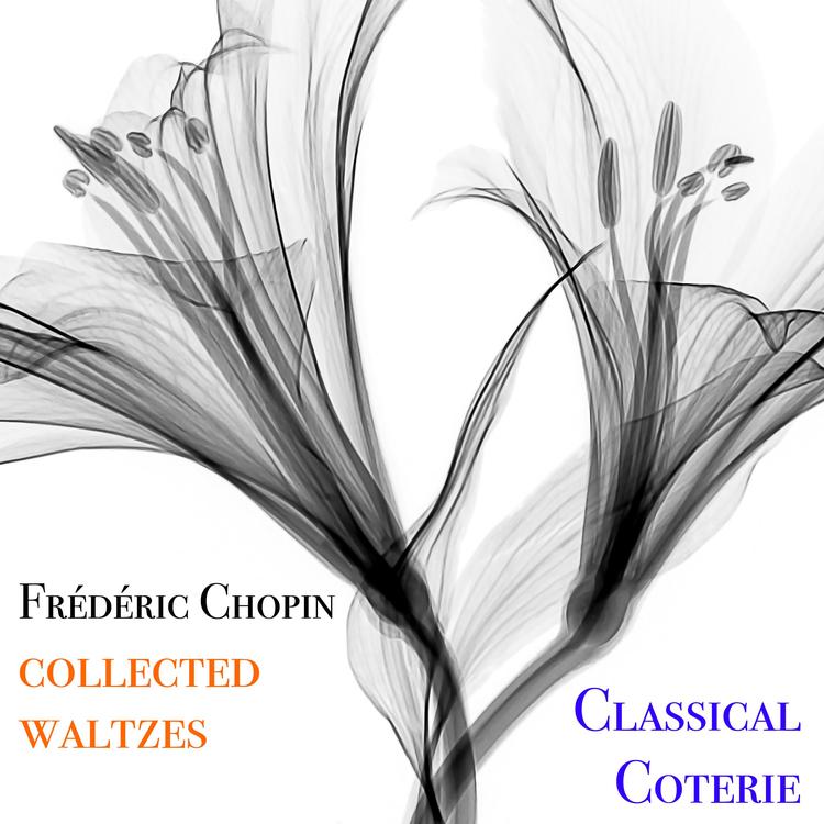 Classical Coterie's avatar image