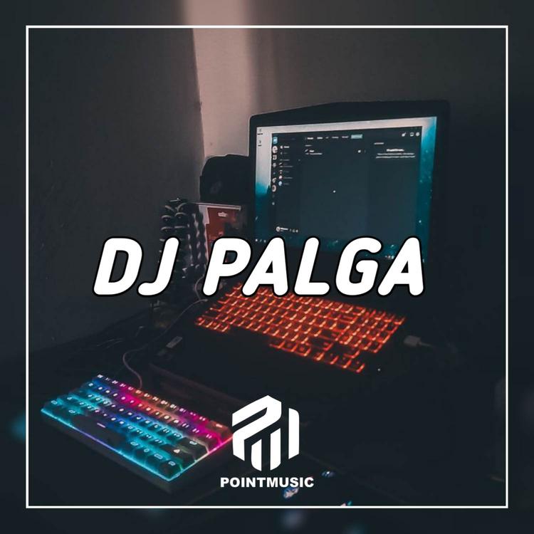 DJ Palga's avatar image