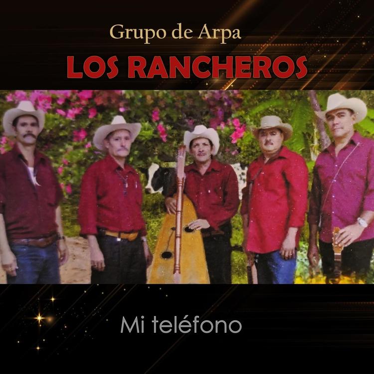 Grupo de Arpa los Rancheros's avatar image