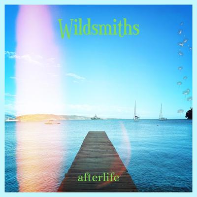 Afterlife's cover