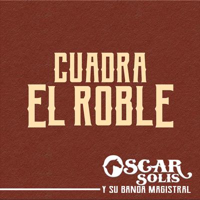 Oscar Solis Y Su Banda Magistral's cover