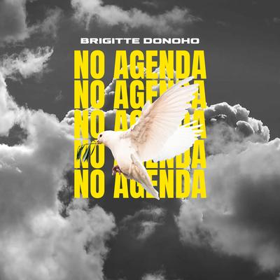 No Agenda By Brigitte Donoho's cover