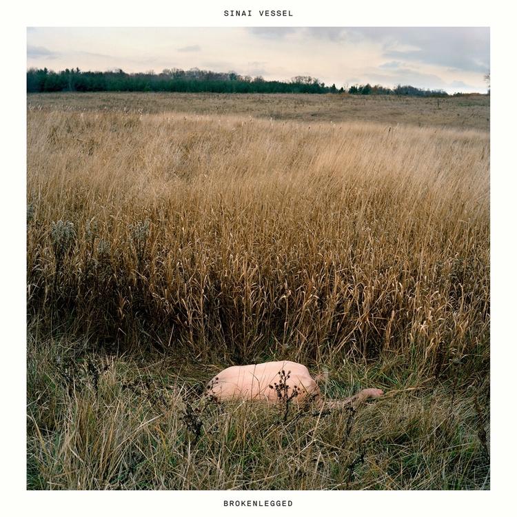 Sinai Vessel's avatar image