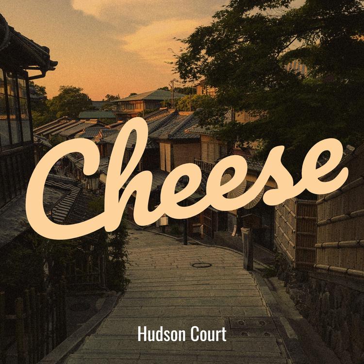 Hudson Court's avatar image