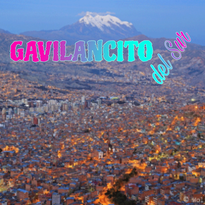 Gavilancito del Sur's cover