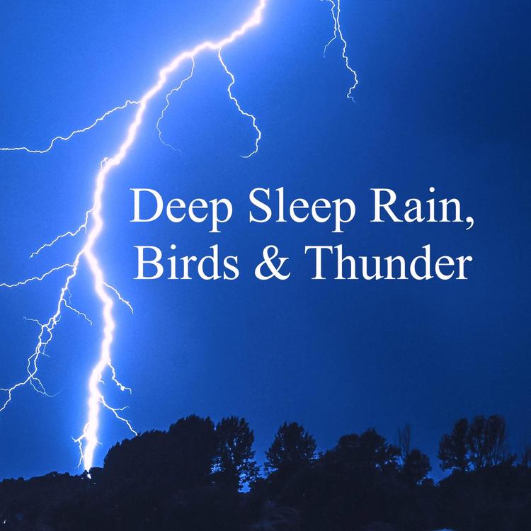 Deep Sleep Rain, Birds & Thunder's avatar image