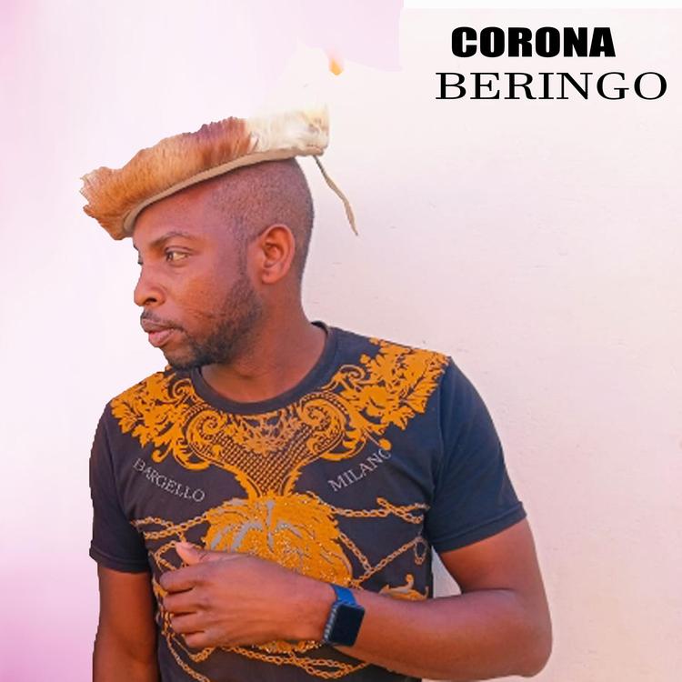 beringo's avatar image