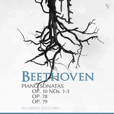 Piano Sonata No. 25 in G Major, Op. 79 "Cuckoo": II. Andante By Maurizio Zaccaria's cover
