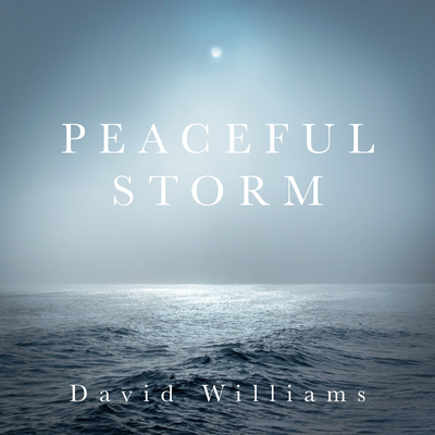 Peaceful Storm By David Williams's cover