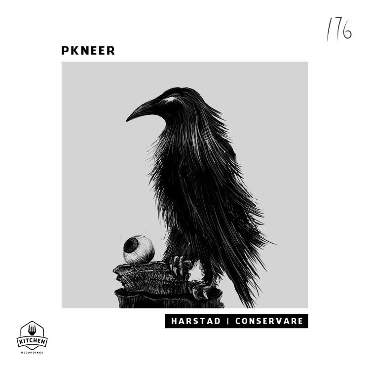 PKNeer's avatar image