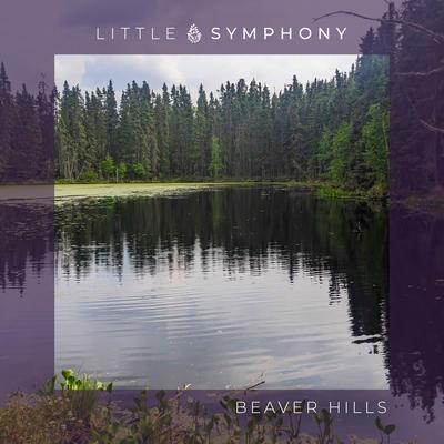 Little Symphony's cover