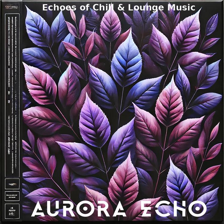 Aurora Echo's avatar image