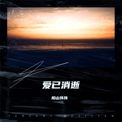 爱已消逝's cover