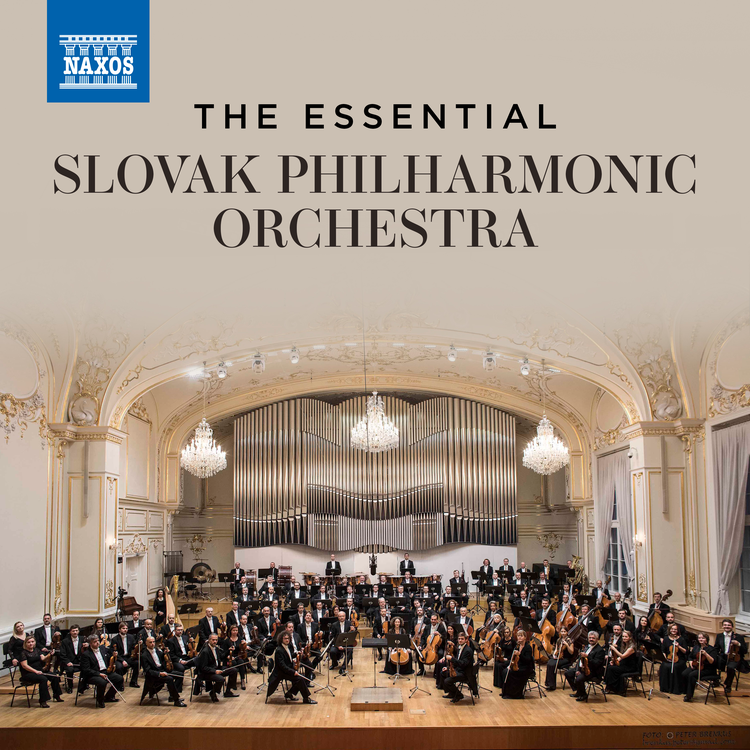 Slovak Philharmonic Orchestra's avatar image