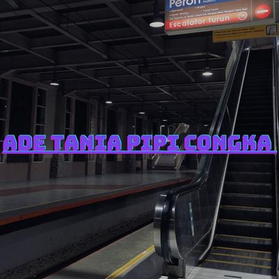 ADE TANIA PIPI CONGKA's cover