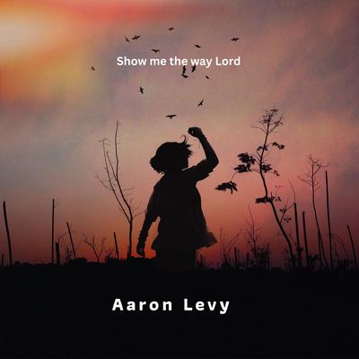 Aaron Levy's cover