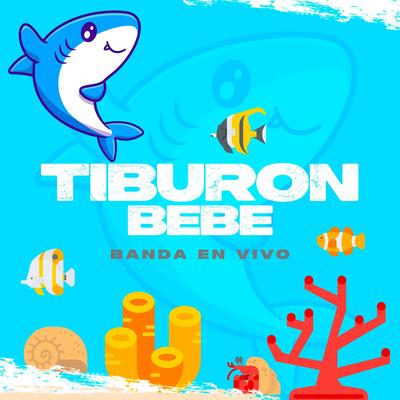 Tiburón Bebé Con Banda's cover