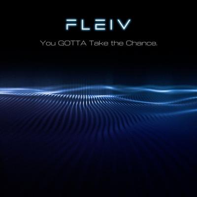 You Gotta Take the Chance. (Dub Mix) By FLEIV's cover