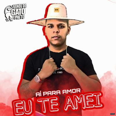 Ai Para Amor Eu Te Amei By Bonde do gato preto's cover