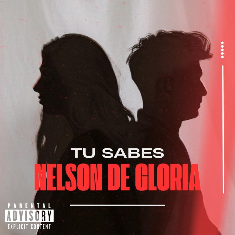 Nelson de Glória's avatar image