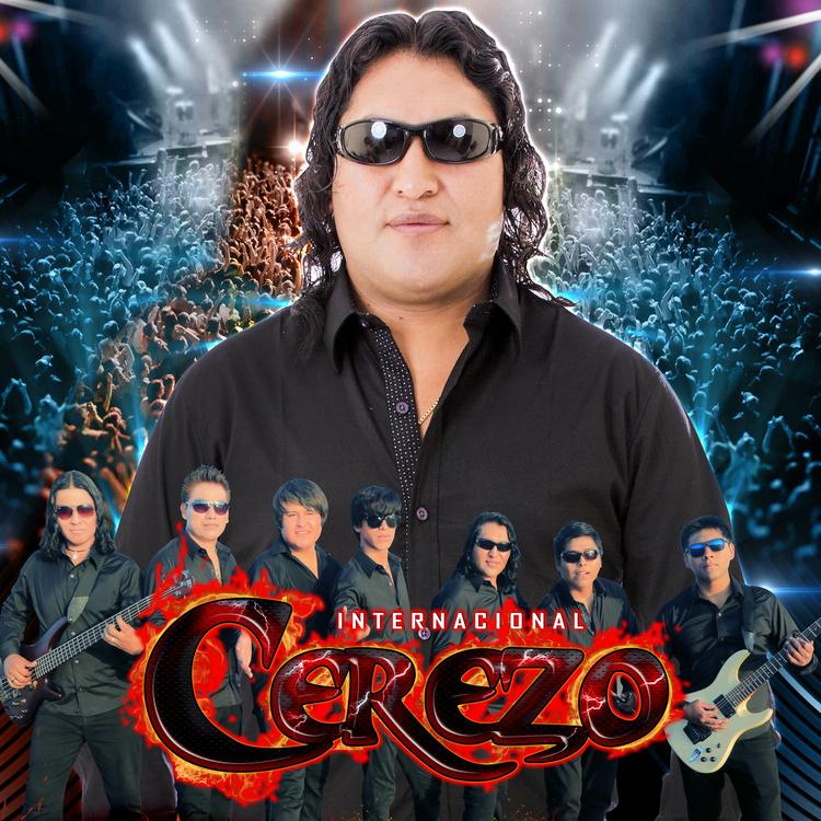 Grupo Cerezo's avatar image