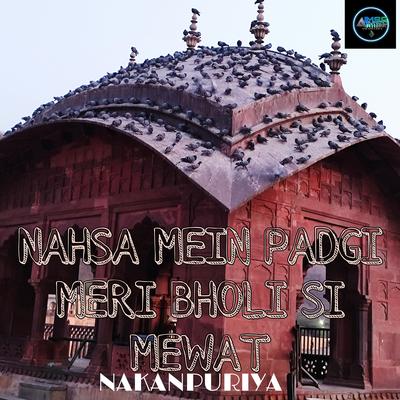 NASHA MEIN PADGI MERI BHOLI SI MEWAT's cover