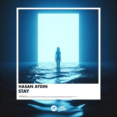 Stay By Hasan Aydın's cover