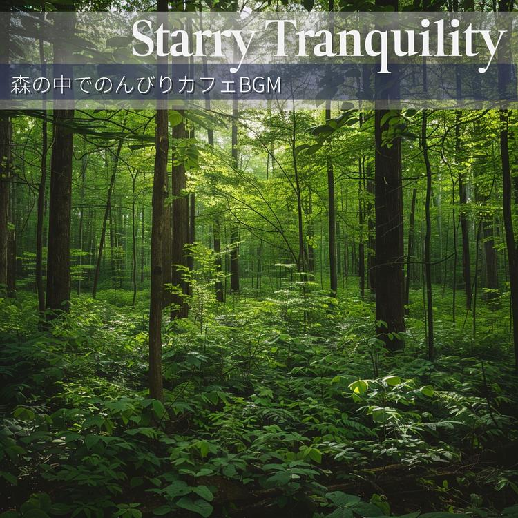 Starry Tranquility's avatar image