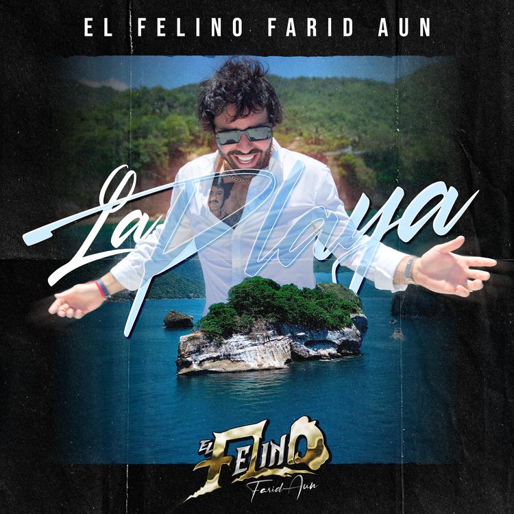 El Felino Farid Aun's avatar image