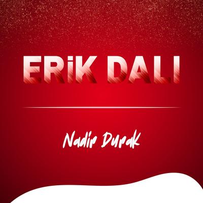 Nadir Durak's cover