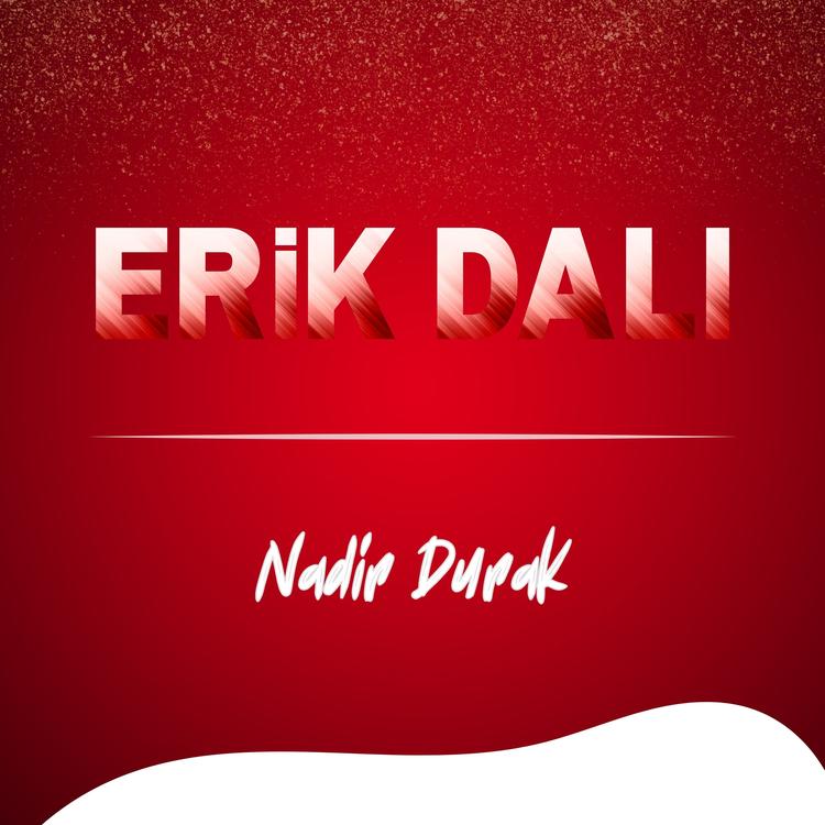 Nadir Durak's avatar image