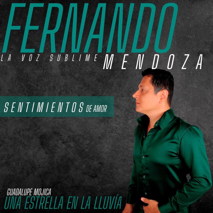 Fernando Mendoza's avatar image