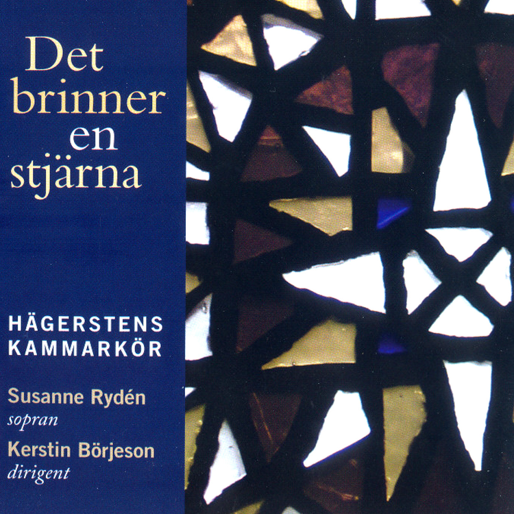 Hagersten Chamber Choir's avatar image