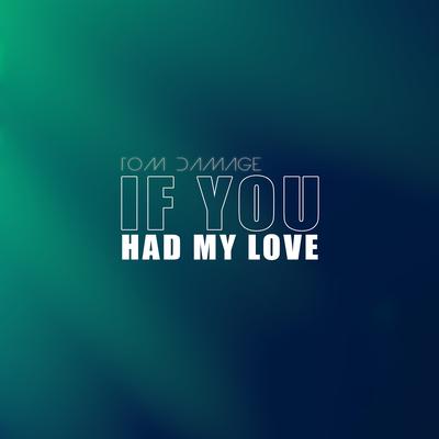 If You Had My Love By Tom Damage's cover