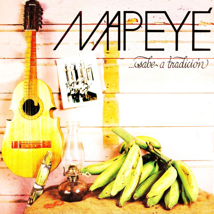 Grupo Mapeye's avatar image